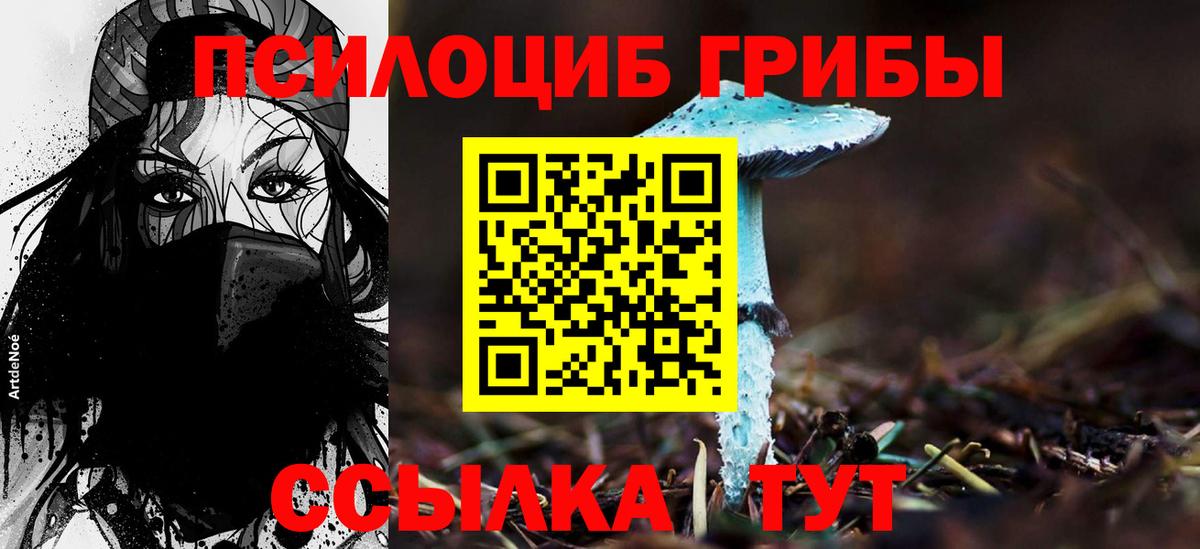 Псилоцибиновые грибы ЛСД  Вход с VPN  Сибай 