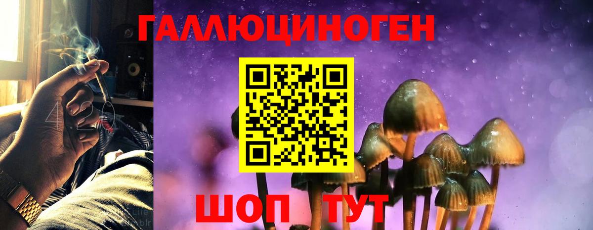 Псилоцибиновые грибы мухоморы Сибай